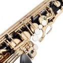 Glarry Alto Saxophone E-Flat Alto SAX Eb with 11reeds, case,carekit, Black Color for Students and Beginners